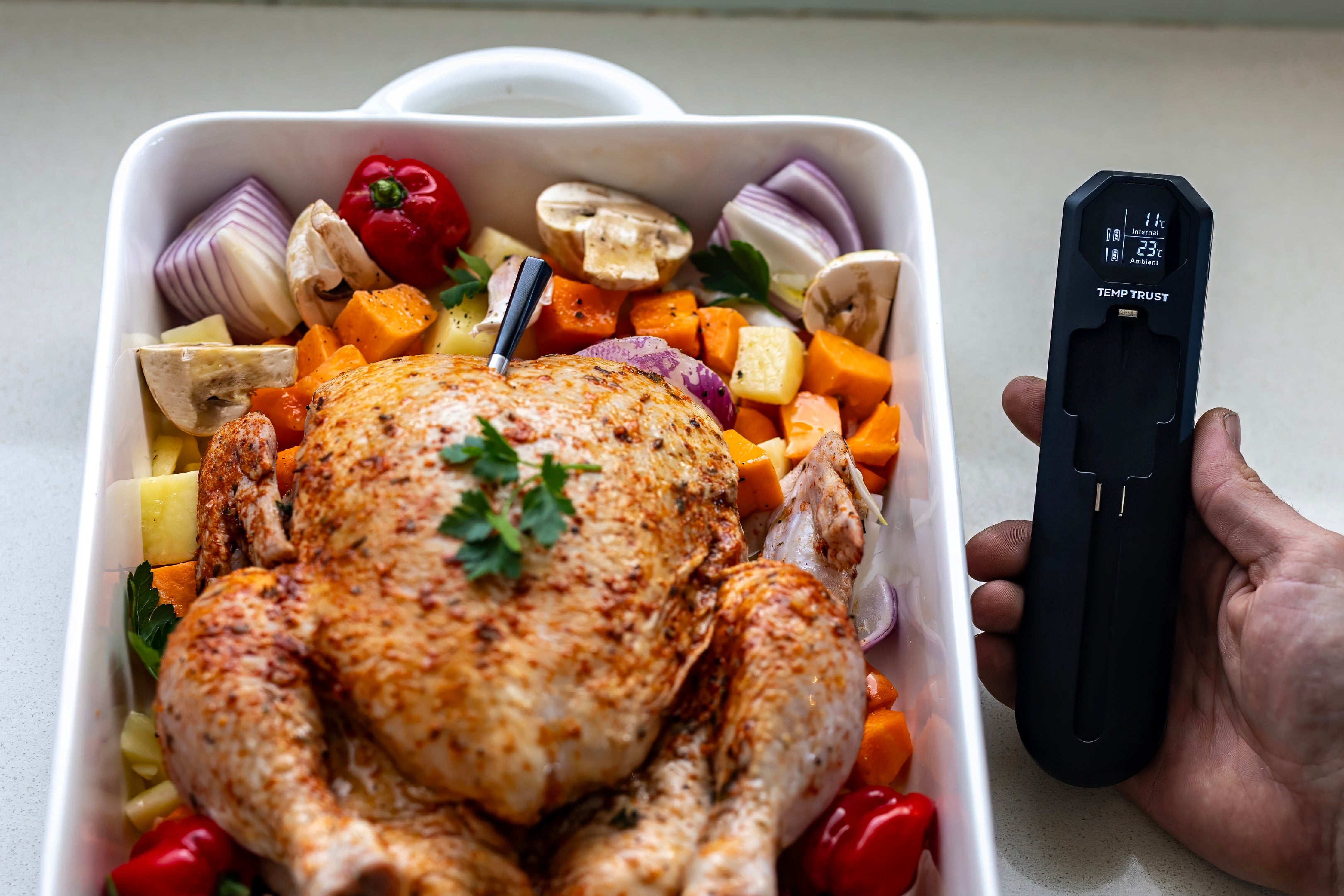 Single Probe Meat Thermometer